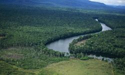 Altın, elmas, petrol...Venezuela'da neler var?