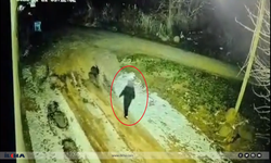 Diyarbakır'da kaybolan Nimet Kılıç’ın son anları güvenlik kamerasına yansıdı!