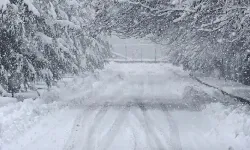 Meteorolojiden kuvvetli kar yağış uyarısı!