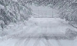 Trakya'da kar yağışı etkili oluyor