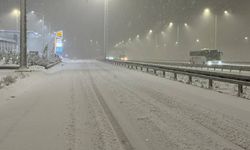 İstanbul'da kar yağışı