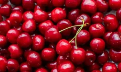 Kirazın tanesi 7 bin 100 TL'ye, kutusu 495 bin TL'ye satıldı