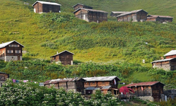 Türkiye'de kaç tane köy var? En çok köy hangi şehirde bulunuyor?