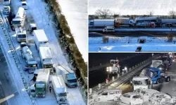 Japonya'da kar yağışı kazalara yol açtı!