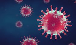 Bu virüs dünyayı tehdit ediyor: Bir ülke daha teyakkuza geçti!