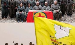 İflasın Anatomisi: Neden Çöktüler?