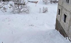 Şırnak'ta çığ düştü: Evdeki 5 kişi kurtarıldı