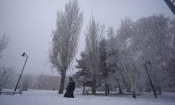 Diyarbakır ve birçok ilde soğuk hava ve sis etkili oluyor