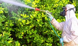 Tarımda eczane dönemi başlıyor! İşte B-Reçete uygulaması hakkında her şey