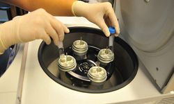 Siyonistler Nesli Hedef Alıyor: Binlerce Embriyo Yok Edildi!