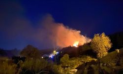 Antalya'da ormanlık alanda yangın!