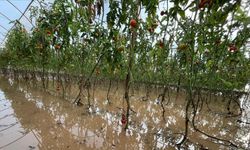 Antalya'daki hasar tespit incelemelerine ilişkin açıklama