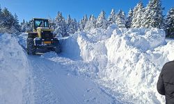 Türkiye’nin en yüksek kar kalınlığı olan noktalar belirlendi