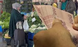 Vatandaşlık maaşı geliyor: Hangi vatandaşlar yararlanacak,ne kadar olacak?