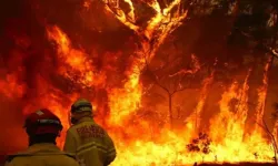 Orman yangınları kontrol altına alınamıyor!