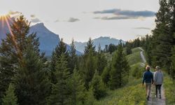 YENİ SIRALAMA: Türkiye'nin en uzun yaşam süren illeri duyuruldu! Zirvedeki il hangisi, gözlerinize inanamayacaksınız!