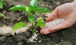 Her toprak ve ürüne uyum sağlayan akıllı gübre