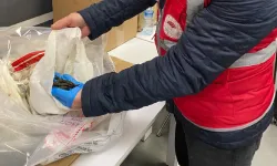 200 Bin adet kaçak tıbbi sülük ele geçirildi!