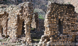 Feqiyê Teyran’ın eğitim verdiği medrese yok olma riskiyle karşı karşıya