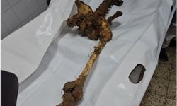 İşte soykırımın bir kanıtı daha...