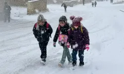 Bir ilçede okullar yarın tatil edildi!