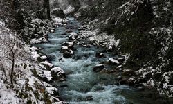 Sapanca Gölü 30 santimetre yükseldi