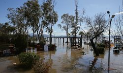 Göl  taşınca ortaya bu manzaraları çıkardı