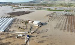 Çiftliği su bastı: Hayvanlar yardımına ekipler yetişti