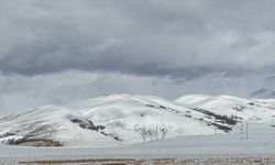 Türkiye'nin buz kesen kentlerinde kar yağışı!