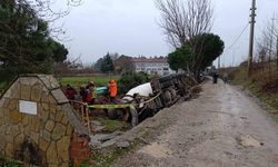 Beton mikserinin yıktığı ağaçların altında kalan işçi öldü