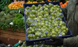 Erik dolarla satılıyor