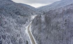 Tüm yurtta dereceler düştü: Bazı kentler beyaza büründü