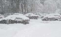 ABD'de olağanüstü hal ilan edildi