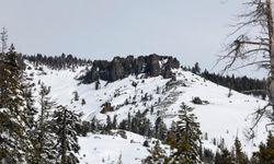 ABD'de çığ: Hayatını kaybeden kayakçıların sayısı 9 oldu!