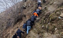 Bitlis'te feci kaza: 3 ölü, 5 yaralı var