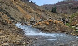 Diyarbakır’da kaybolan engelli yaşlı adam halen bulunamadı!