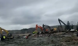 Fıkra Gibi Olay: Tek Tek Bataklığa Kurban Edildiler!