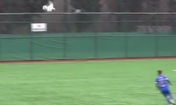 Maç sırasında topun çarptığı martı kalp masajıyla hayata döndürüldü