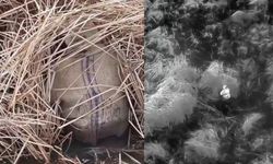 Samsun’da Kaçak Avcılara Teknoloji Operasyonu: Termal Drone’dan Kaçamadılar