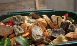 Kamyonlar dolusu gıda çürüyor: Nedeni şaşırtacak