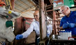 Gizli yayılan virüs: Pandemiye dönüşebilir