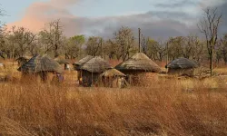 Elini uzatıp cebe pençe sokanlar: Kuzu postundaki kurtlar