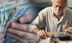 e-Devlet’te Üç Harfli Kabus: 650 Bin Emeklilik İptal Edildi! Dikkat Sizin de Olabilir