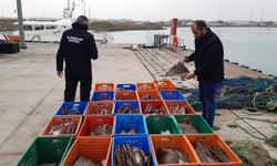 Kaçak avlanan 850 kilo kalkan balığına el konuldu!