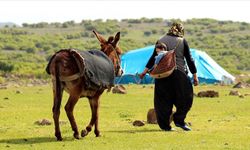 Kırsalda yaşayanların nüfusu azalıyor