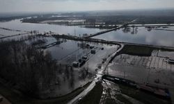 Edirne’de tarım arazileri ve çiftlikler sular altında kaldı!