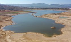 Yağışlar barajları doldurdu: Muğla'da baraj doluluk oranları...