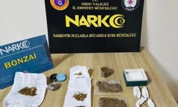 Fatsa’da zehir tacirlerine operasyon!