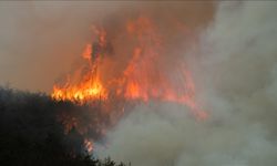 Güney Kore'de orman yangınlarında 190 hektar alan kül oldu
