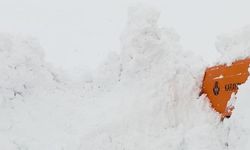 İş makinesinin üzerine çığ düştü!